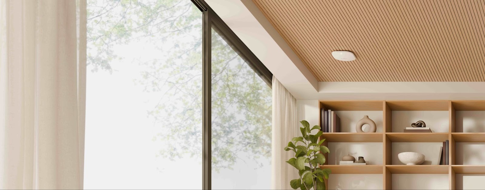 ceiling mount